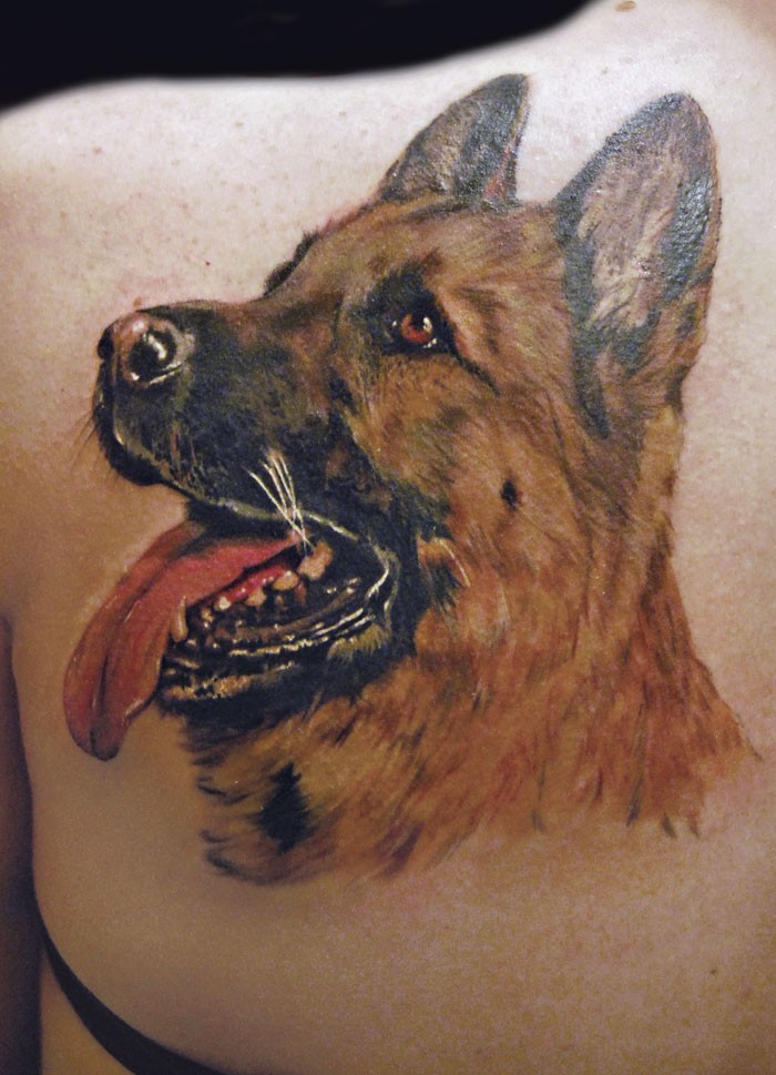 Interesting portrait german shepherd tattoo for woman