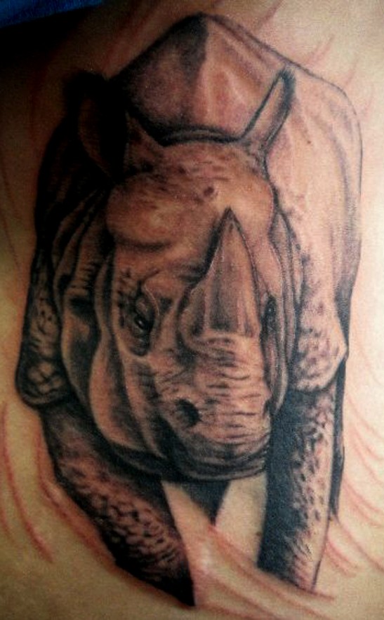 interessante tatuaggio rinoceronte  su corpo di uomini