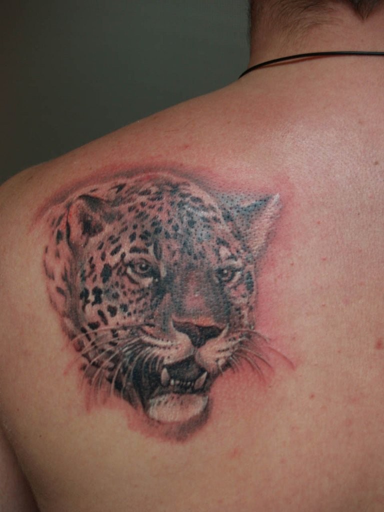 Jaguar tattoo on shoulder blade