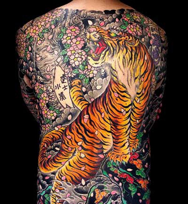 Japanischer Stil Tiger in japanische Kirschblüte Tattoo am ganzen Rücken