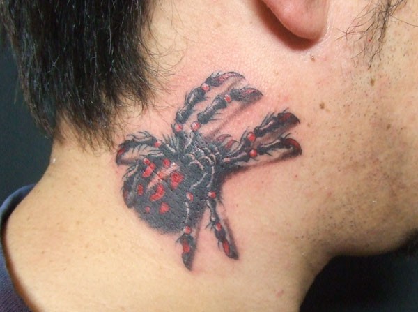 Karakurt spider tattoo  on neck for men