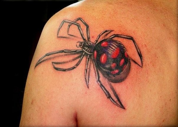 Karakurt spider tattoo on shoulder