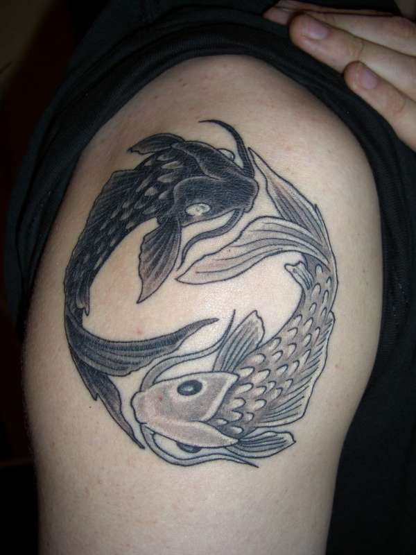 Tatuaggio sul deltoide le carpe koi in stile Yin-Yang