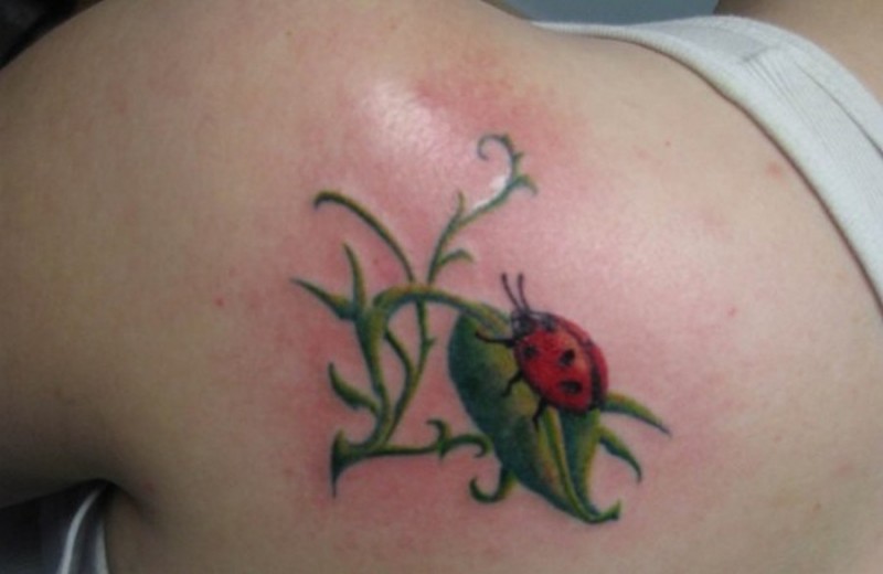 Tatuaggio  bellissimo sulla spalla la coccinella rossa sulla pianta verde
