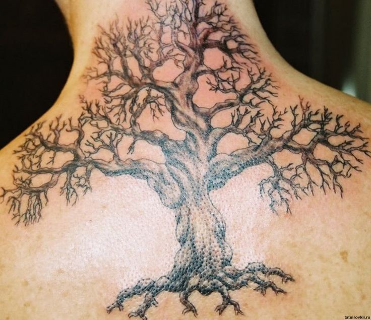 Tatuaje en la espalda de un gran árbol negro.