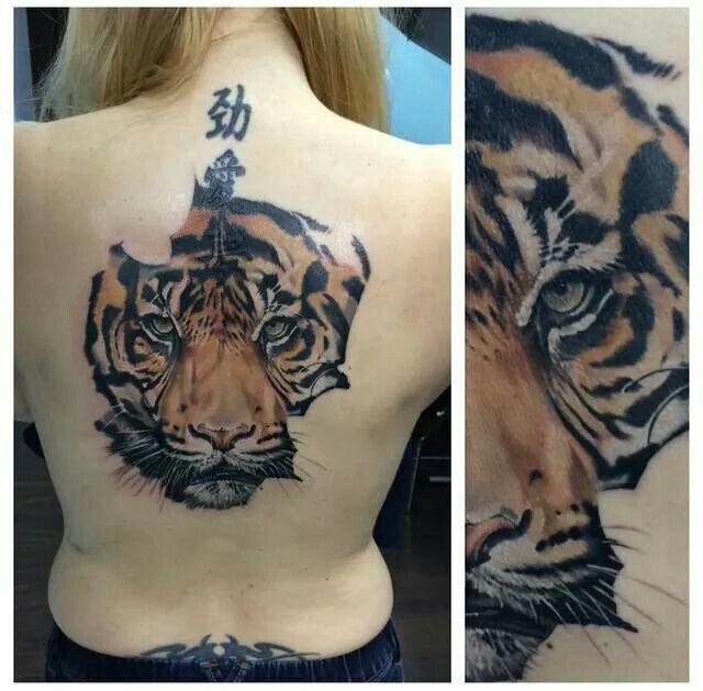 Large colored back tattoo of tiger with lettering