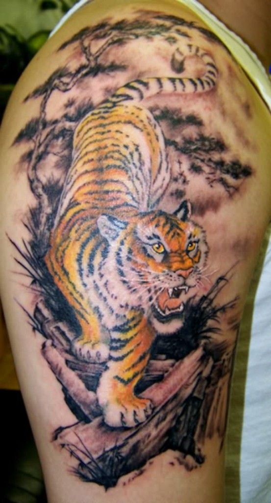 Großer farbiger kriechender Tiger Tattoo an der Schulter