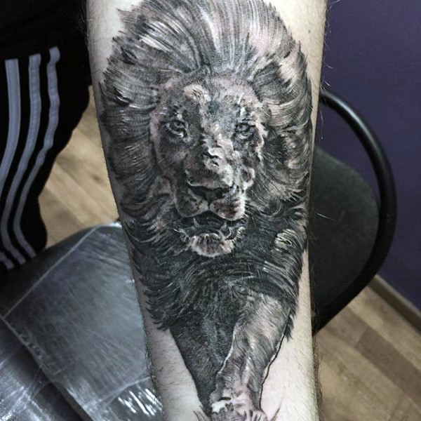 Large engraving style forearm tattoo of big walking lion