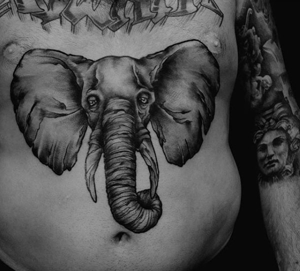 Large gray washed style belly tattoo of incredible elephant