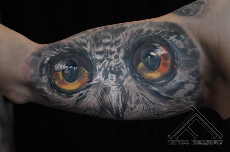 Large realism style colored biceps tattoo of owl face