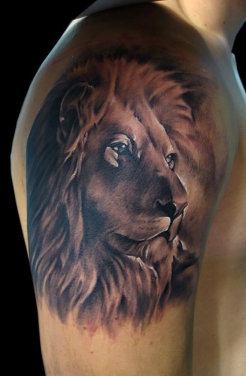 Lifelike beautiful painted shoulder tattoo of steady lion portrait