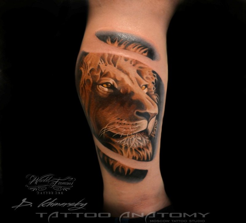 Lifelike colored leg tattoo of wise lion