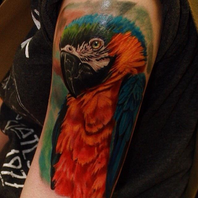 Lifelike colored shoulder tattoo of very detailed parrot