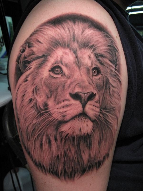 Tatuaje en el brazo, león con ojos buenos
