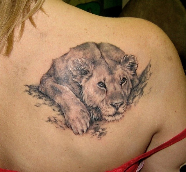 Tatuaggio elegante sulla spalla la leonessa