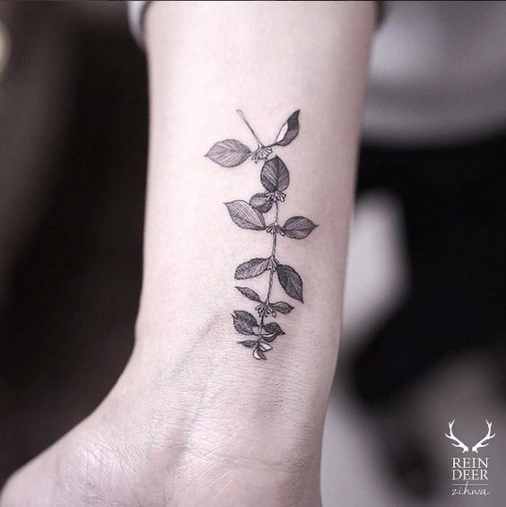 Little blackwork style arm tattoo painted by Zihwa of small leaves