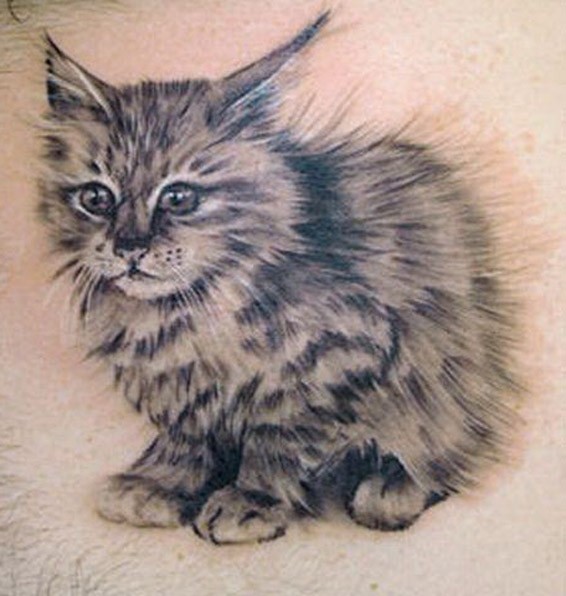 Little fluffy kitten tattoo