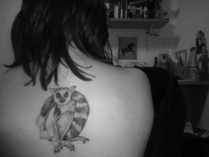 Lovely gray-ink lemur tattoo on back