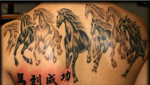 Schöne Herde von galoppierenden Pferden mit Tattoo am Rücken