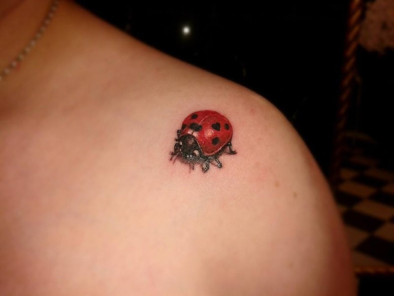 Tatuaggio delicato sulla spalla la coccinella rossa