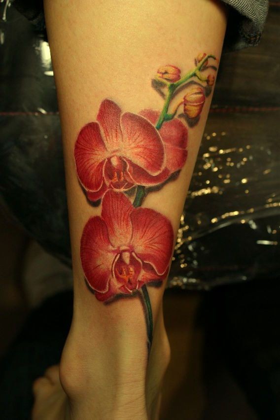 Lovely realistic red orchids tattoo on leg