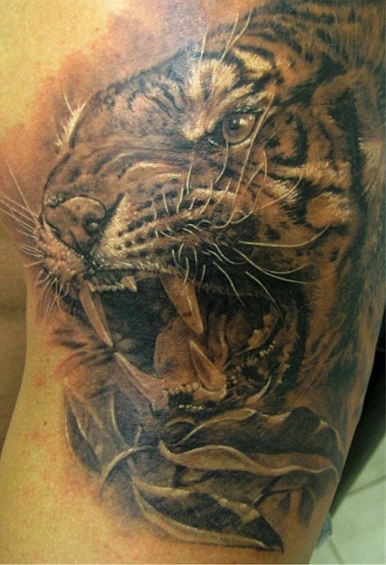 Magnificent detailed and colored roaring tiger tattoo on arm