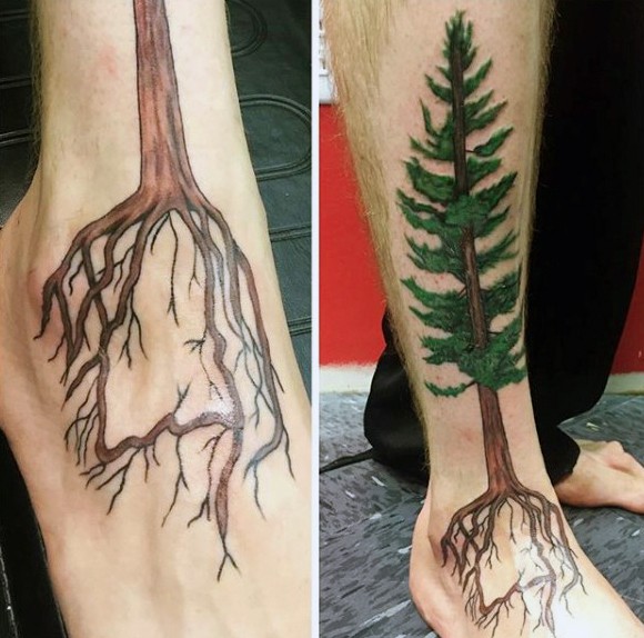 Magnificent naturally colored pine tree with roots realistic tattoo on leg and foot
