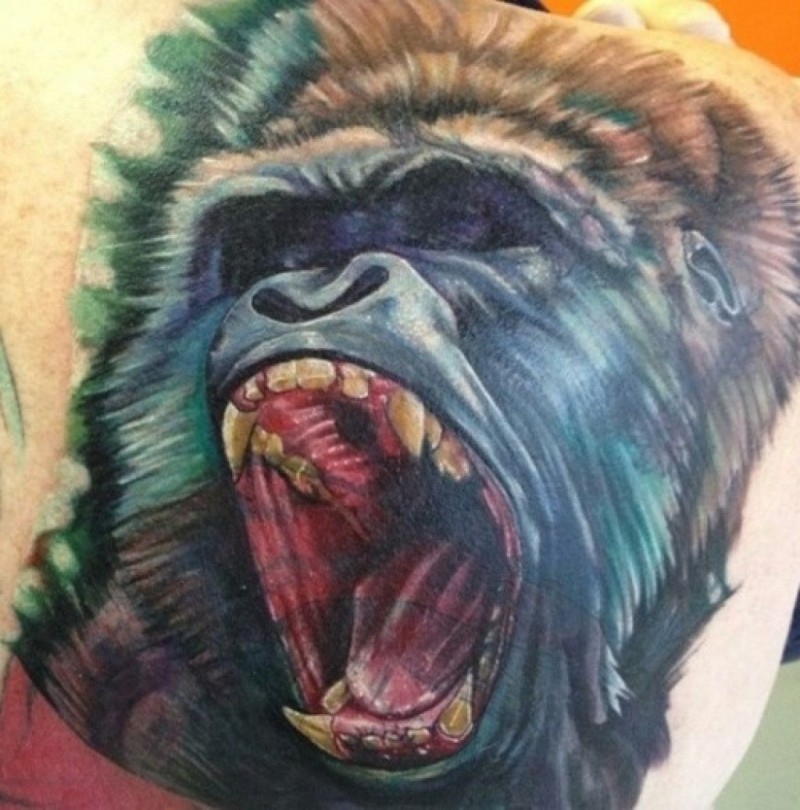 Magnificent painted realistic colored roaring gorilla tattoo on shoulder