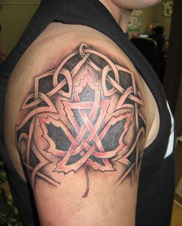 foglia di acero con nodo celtico tatuaggio su spalla