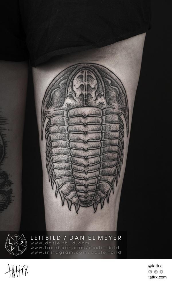 Massive black and white detailed prehistoric beetle tattoo on thigh