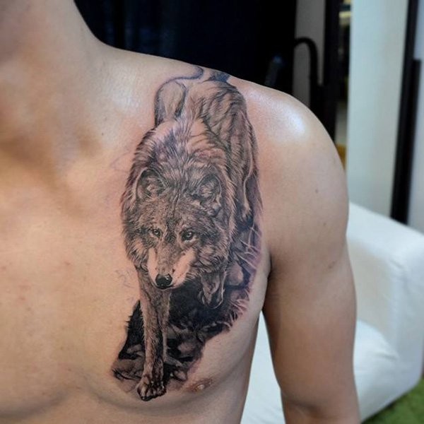 Massives detailliertes super realistisches Wolf Tattoo an der Brust und Schulter