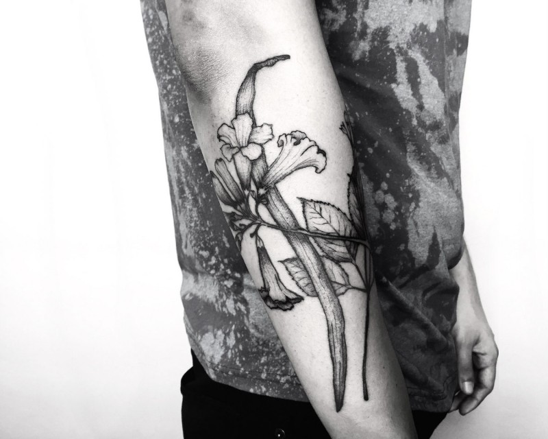 Tatuaje en el antebrazo,
plantas diferentes de colores negro blanco