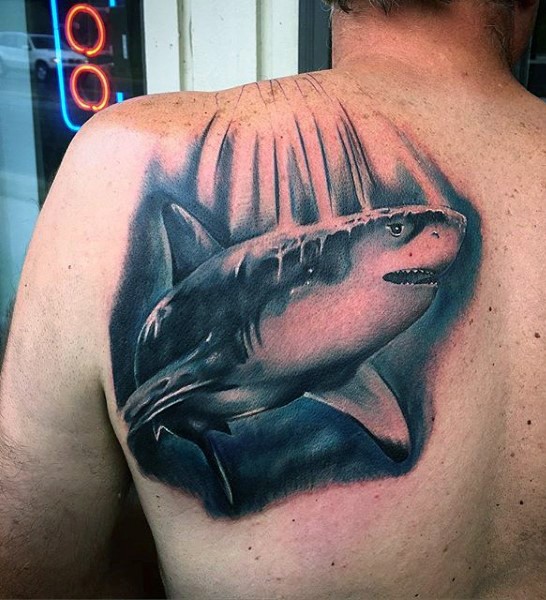 Medium size colored realism style shark tattoo on back