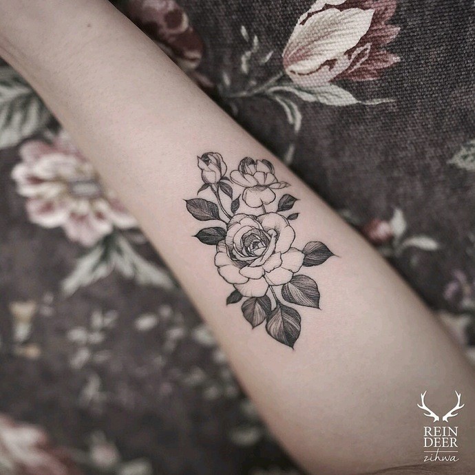 Medium size small nice looking painted by Zihwa tattoo of roses