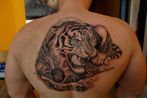 Tatuaje en la espalda,
tigre en el suelo que ruge