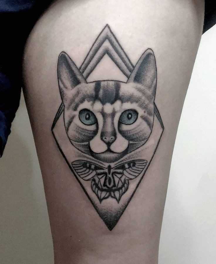 Modern dot style thigh tattoo of cat portrait with butterfly