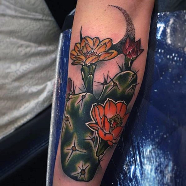 Modern traditional style colored arm tattoo of cactus with flowers