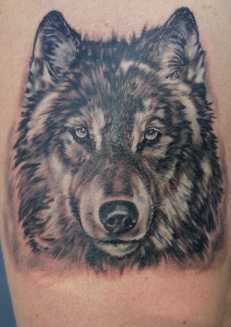 Muzzle of a wolf tattoo