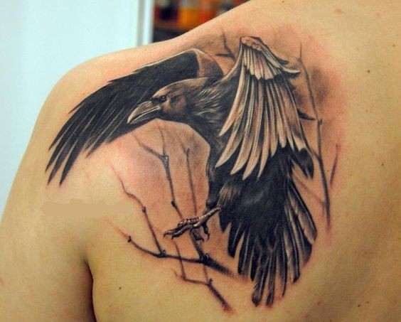 Tatuaje en el hombro, cuervo siniestro con alas desplegadas