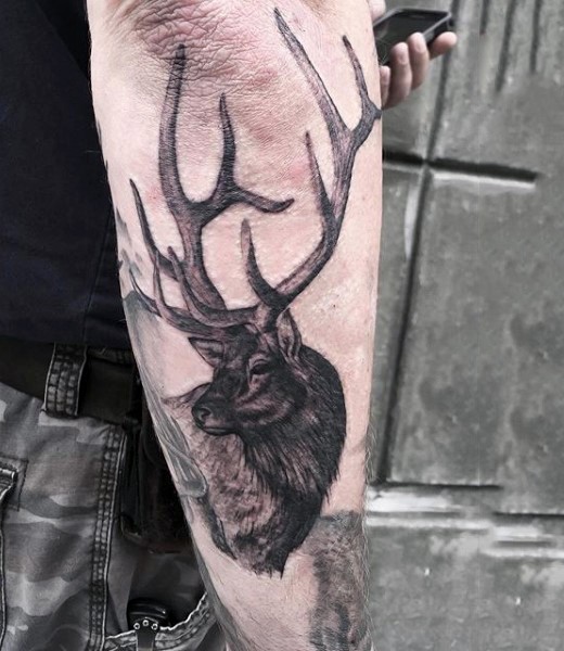 Natural looking black and gray style detailed forearm tattoo of deer