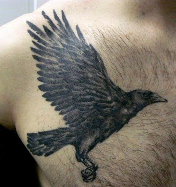 Natural looking colored flying crow tattoo on chest
