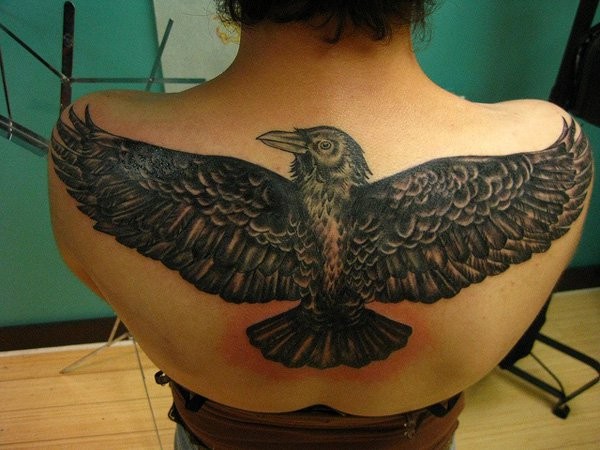 Natural looking colored upper back tattoo of massive crow