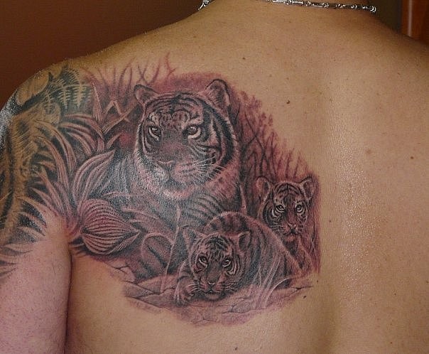 Tatuaje en el hombro, tigre con sus cachorros, diseño de colores negro y blanco