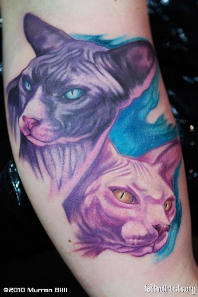 Natural looking multicolored forearm tattoo of Spinx cats