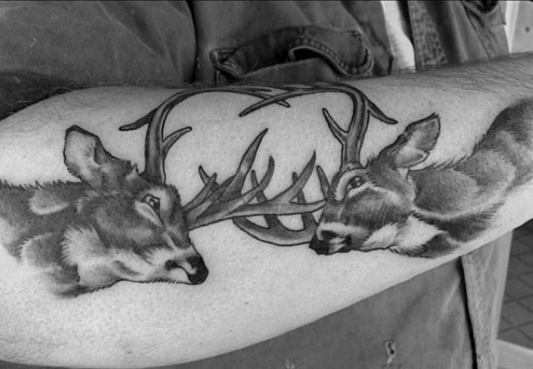 Natural looking realism style black ink forearm tattoo of fighting deers