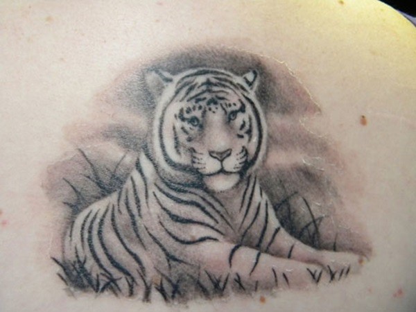 Natural looking very beautiful white tiger tattoo