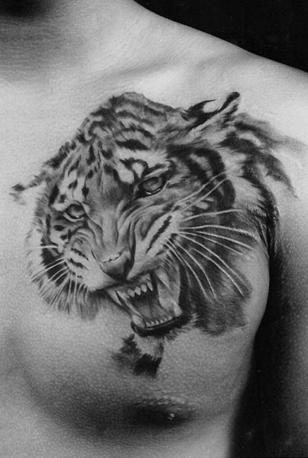 Natürlich aussehendes sehr detailliertes Brust Tattoo mit brüllendem Tigerkopf