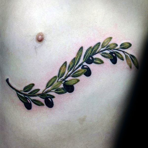 Naturally colored olive branch with olives tattoo on man&quots chest