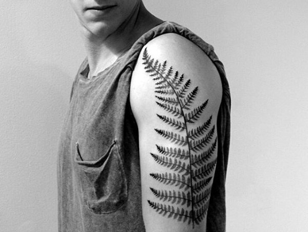 Neat detailed Fern leaf tattoo on shoulder area