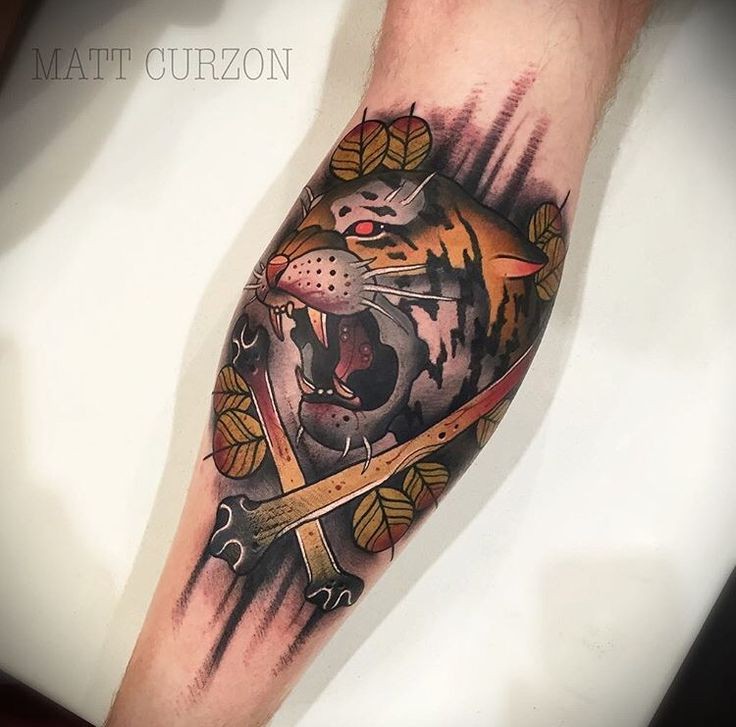 Neo traditional style colored tattoo of tiger with crossed bones